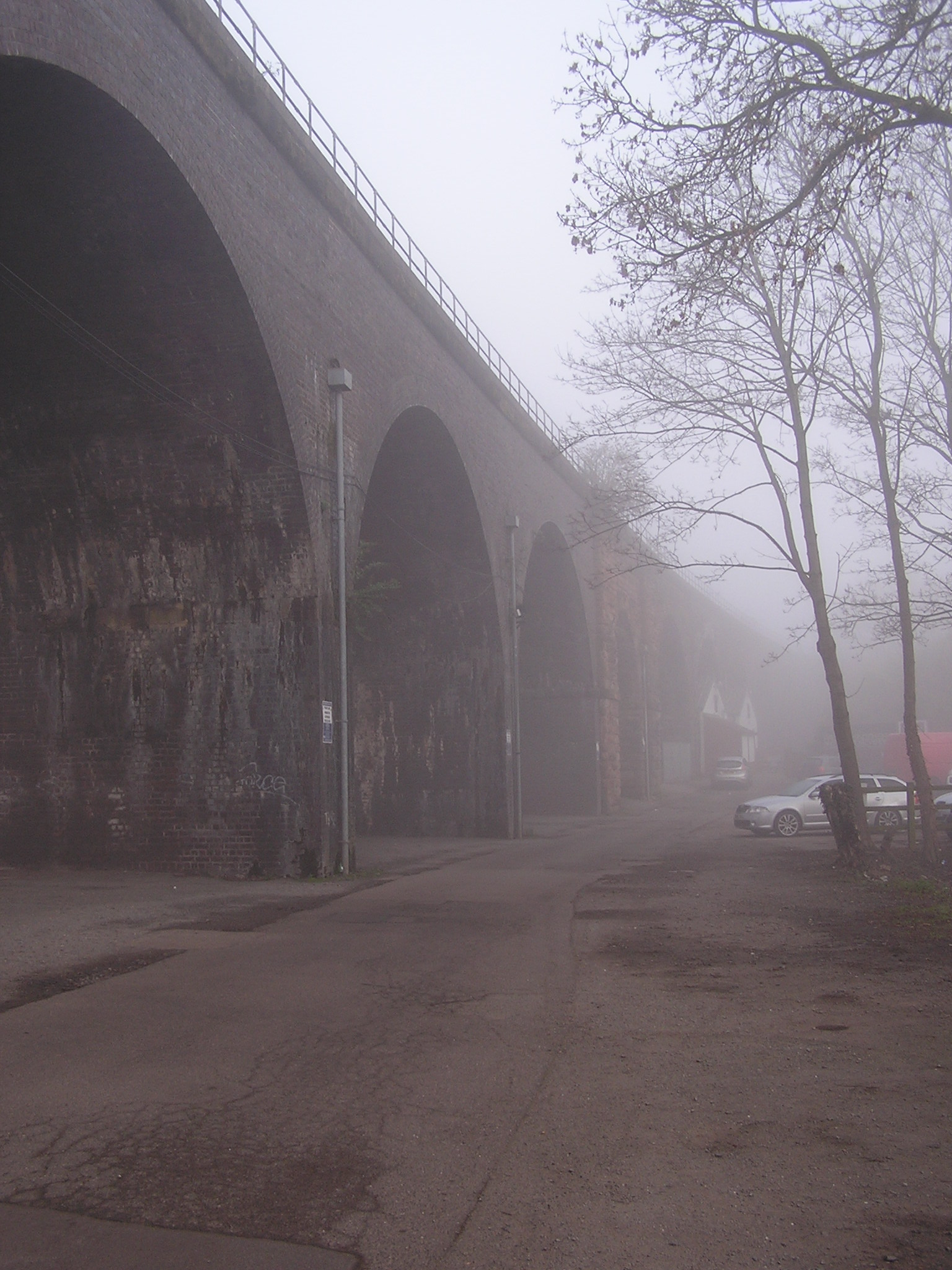 P1010005.JPG
