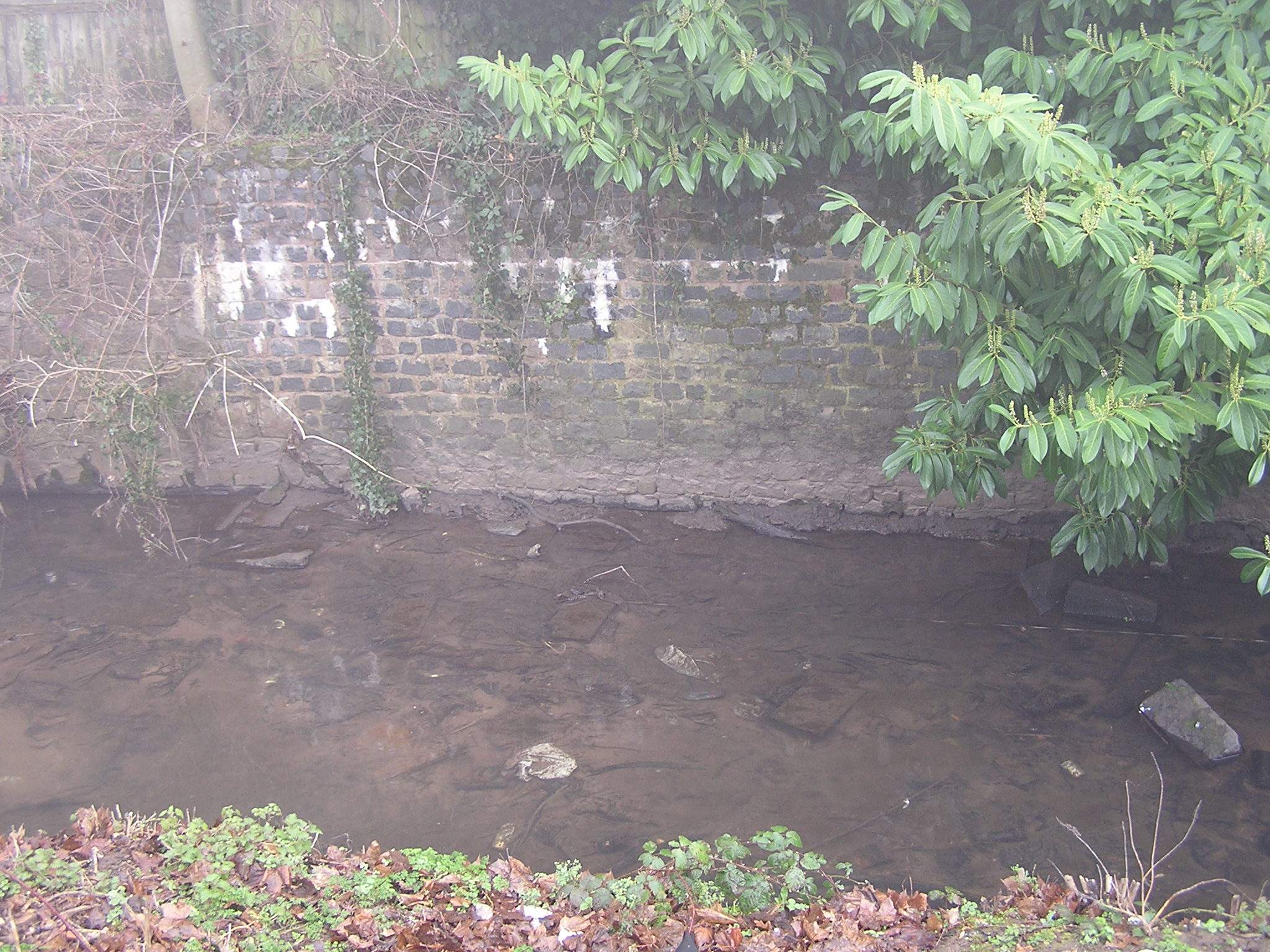 P1010006.JPG