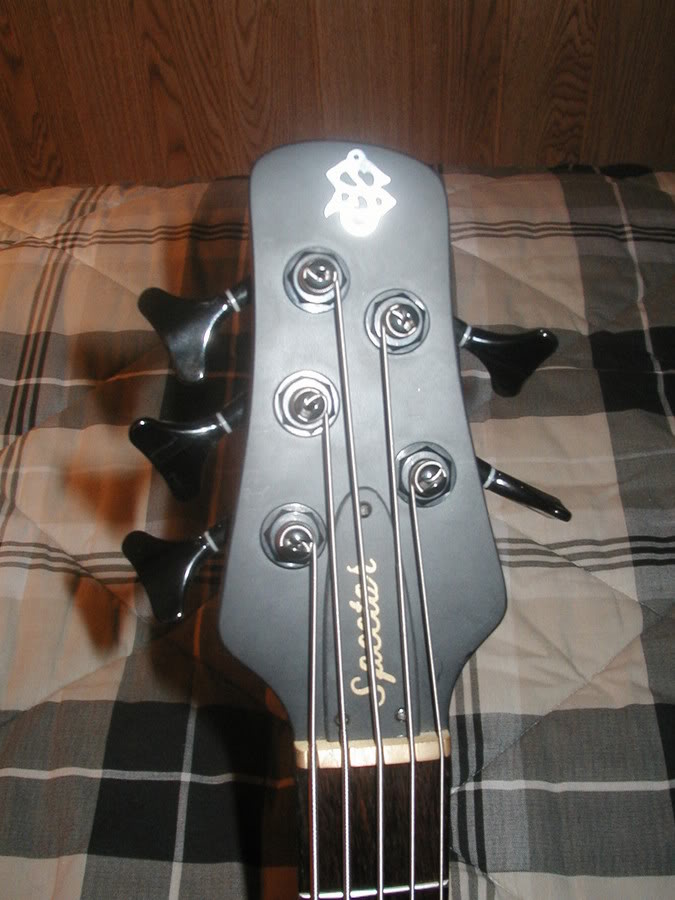 P1010011.jpg