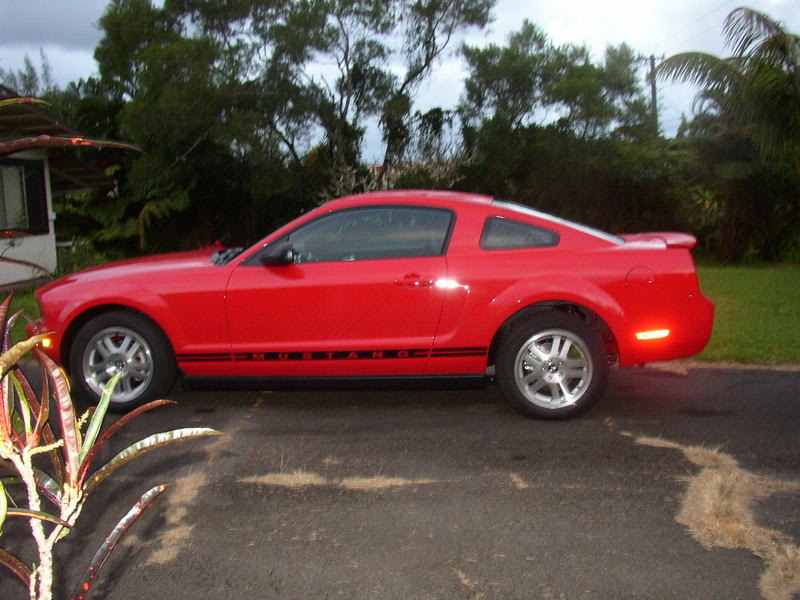 P1010012.jpg