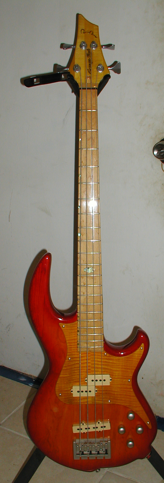 P1010012.jpg