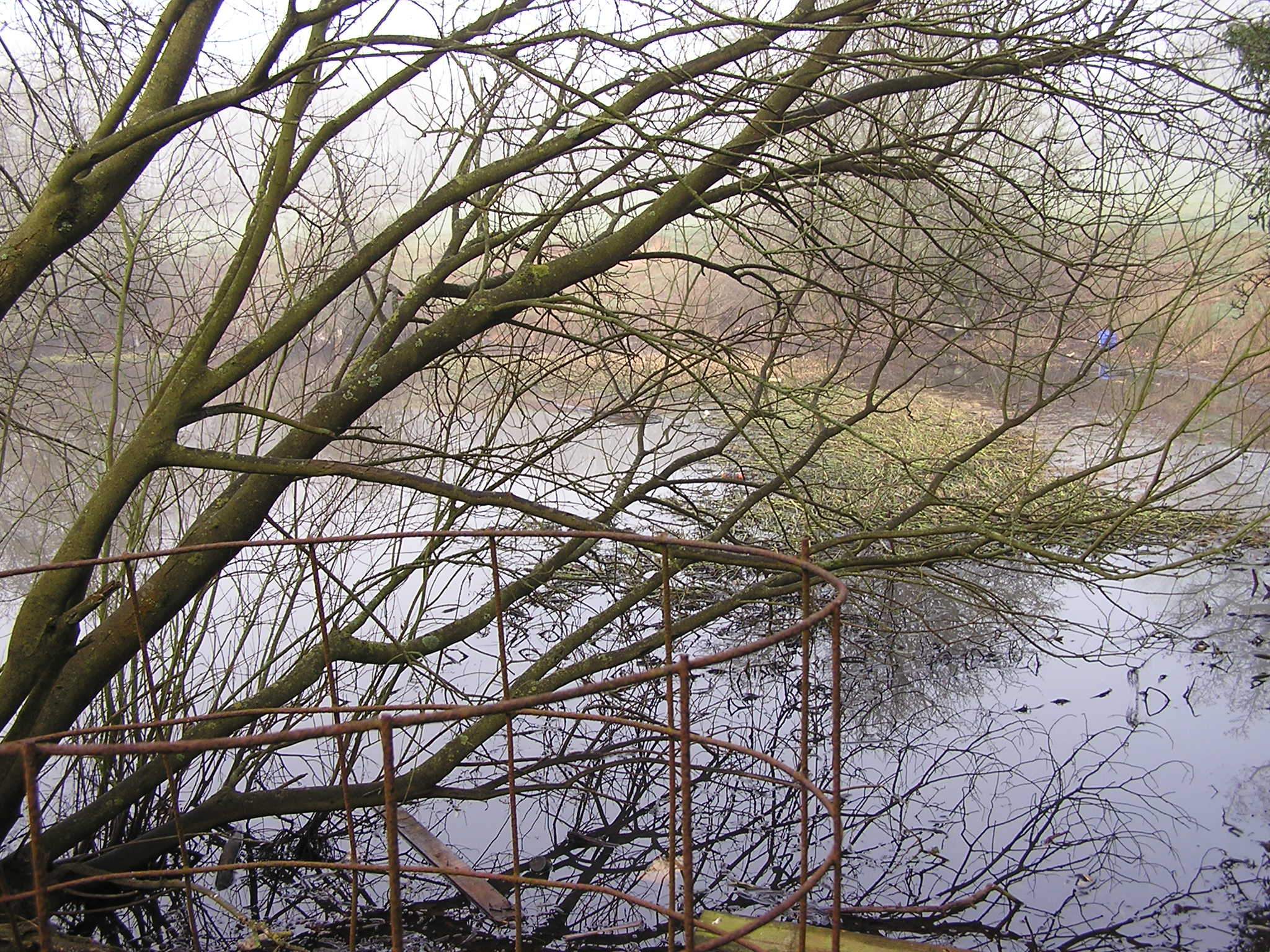 P1010016.JPG