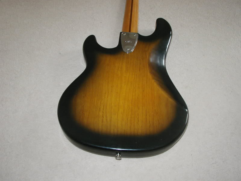 P1010018.jpg