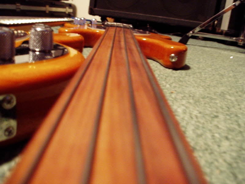 P1010020.jpg