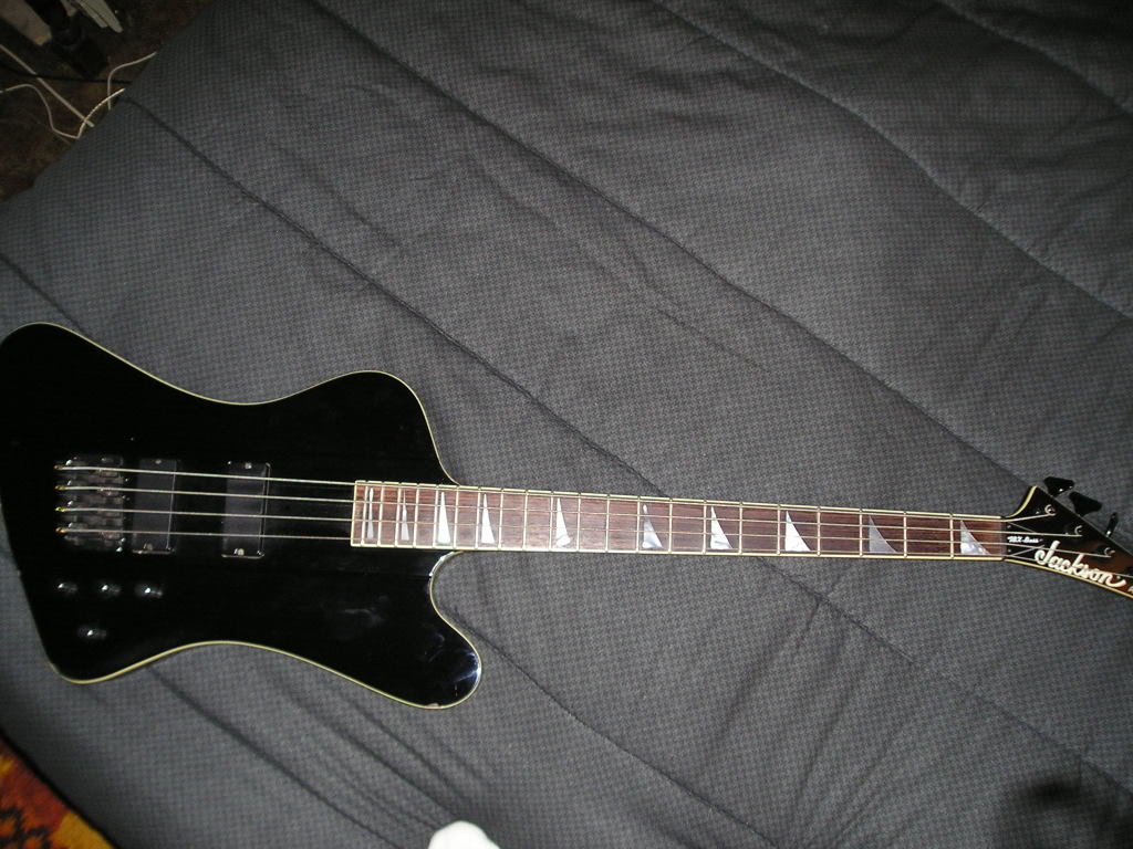 P1010022.jpg