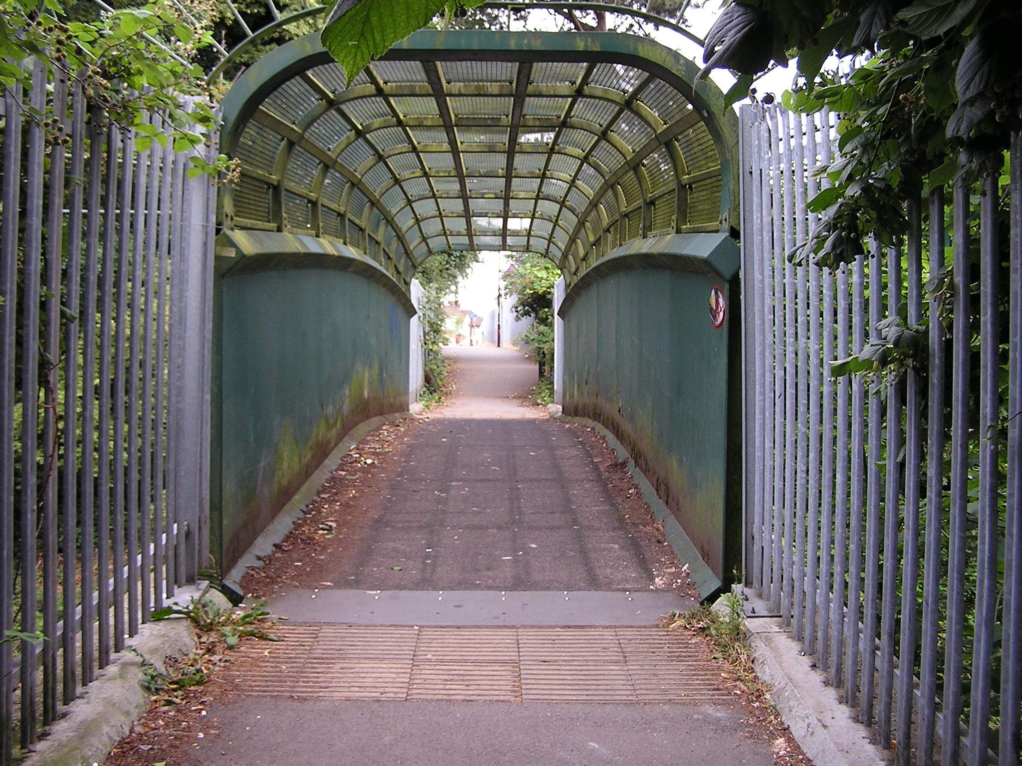 P1010025.JPG