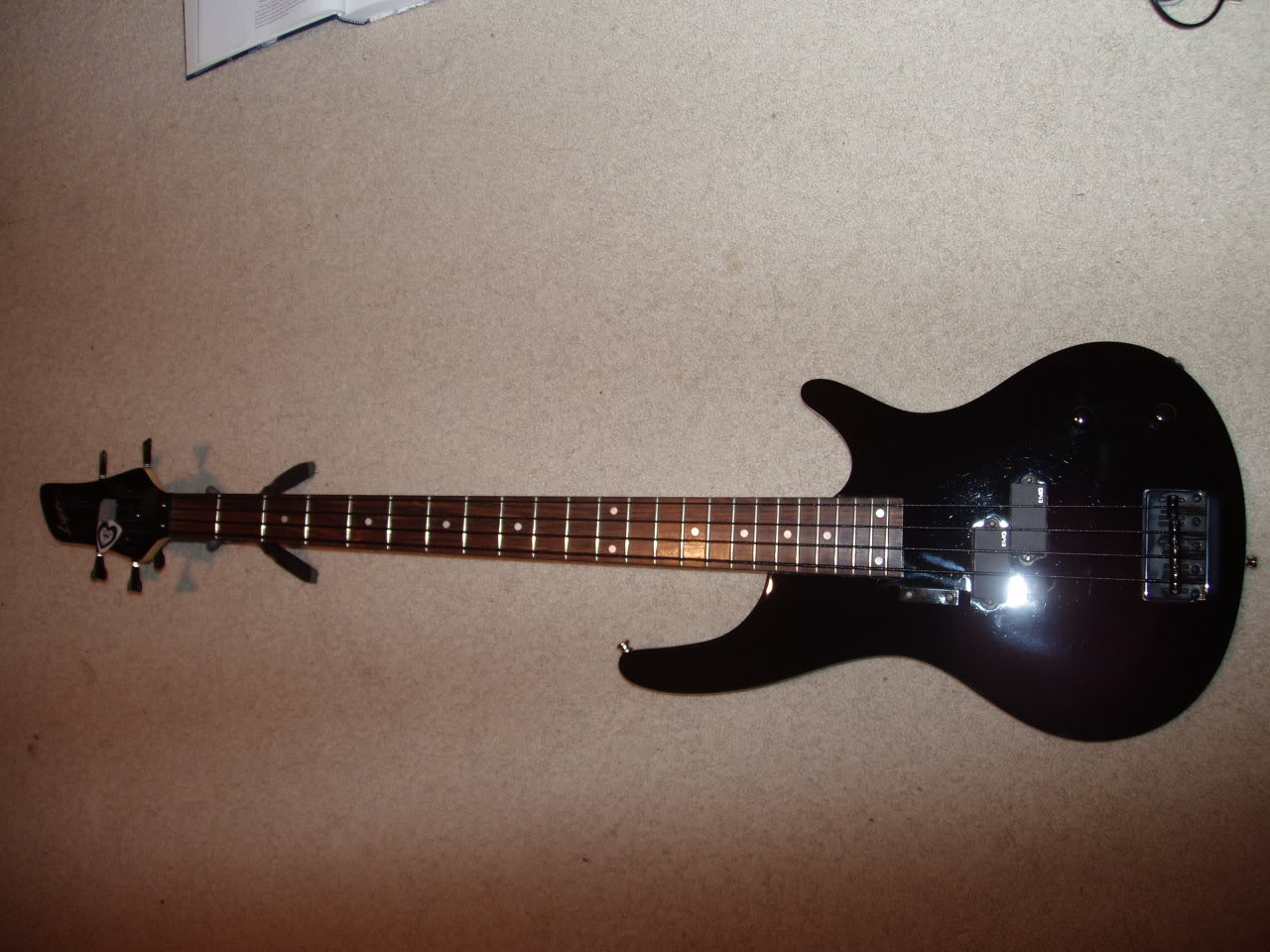 P1010026-1.jpg