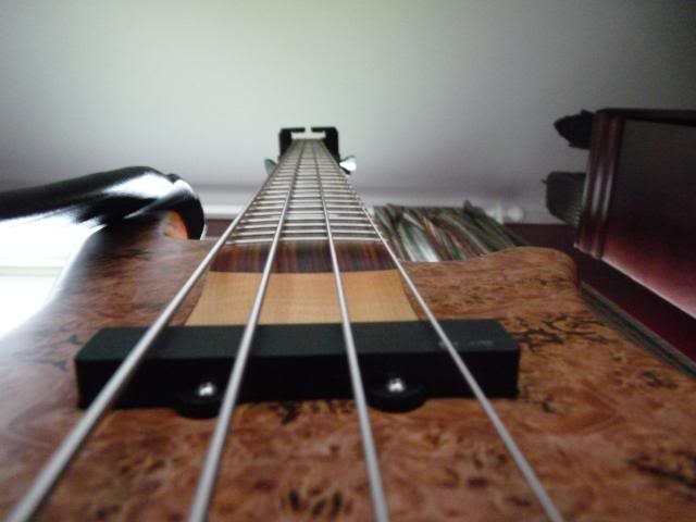 P1010029.jpg