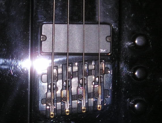 P1010034-1.jpg