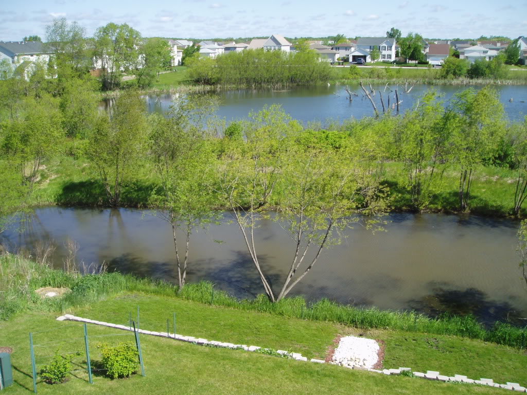 P1010040.jpg