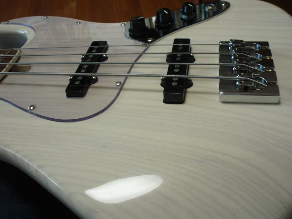 P1010057.jpg
