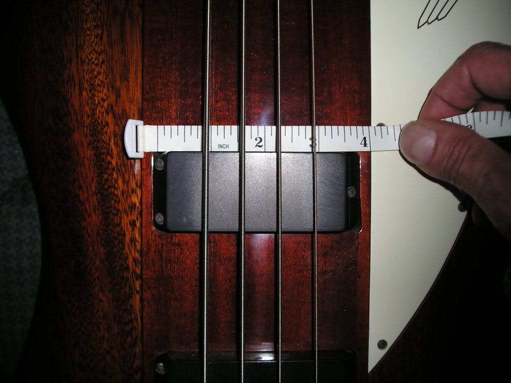 P1010058.jpg