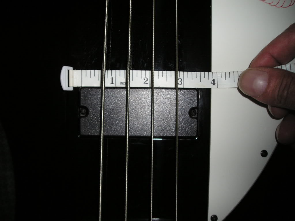 P1010059.jpg