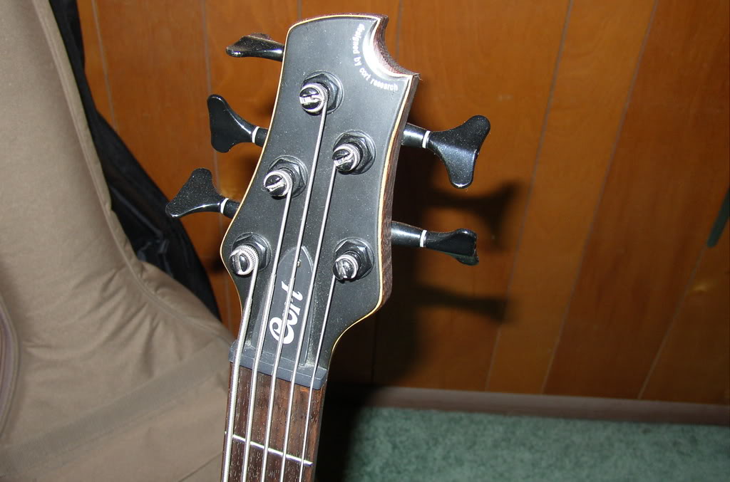 P1010059.jpg