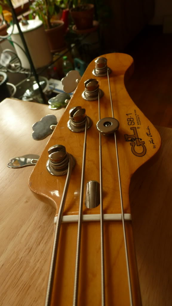 P1010064.jpg