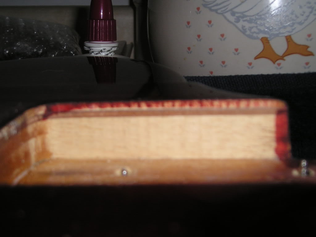 P1010075.jpg