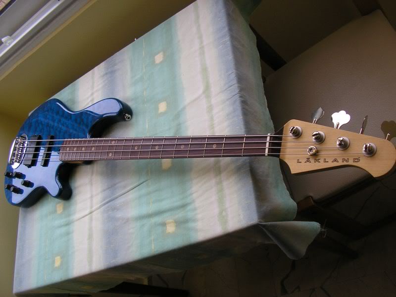 P1010207.jpg
