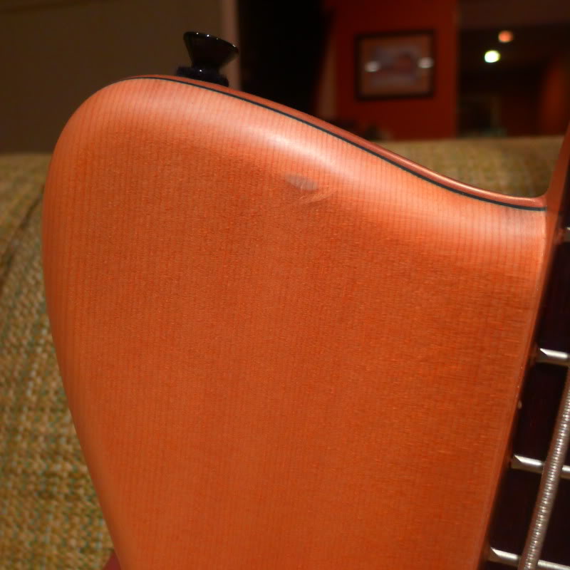 P1010225.jpg