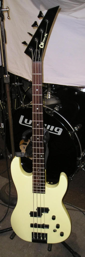 P1010228.jpg
