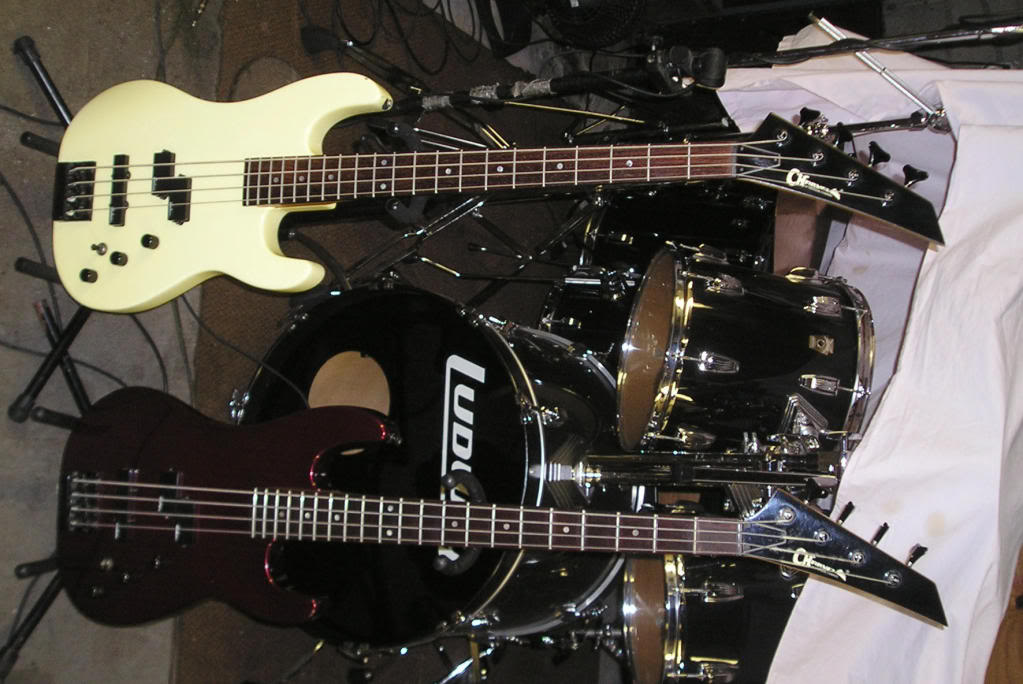 P1010251.jpg