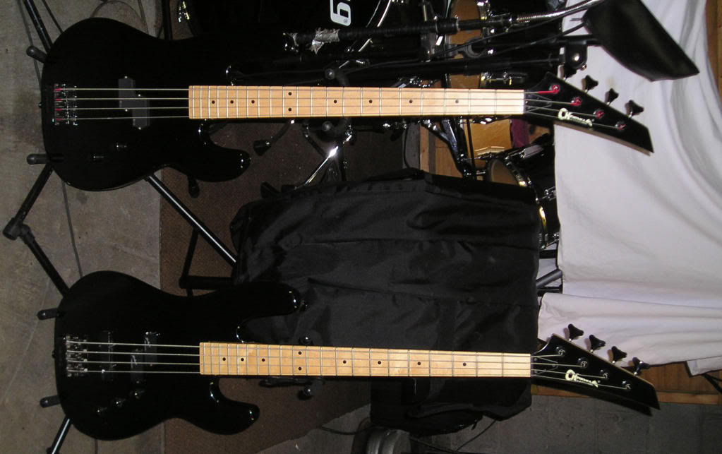 P1010255-edit.jpg