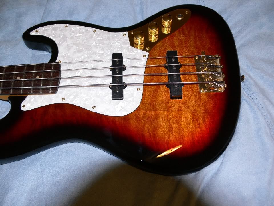 P1010261.jpg