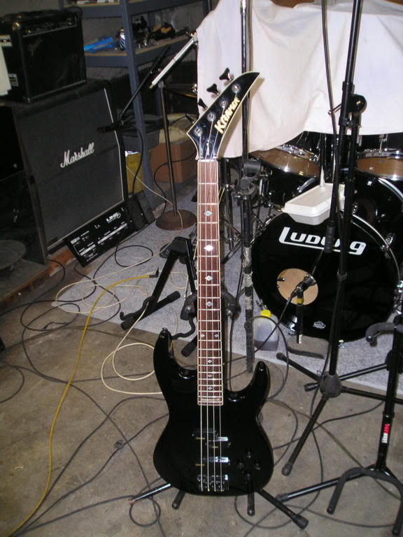 P1010278.jpg