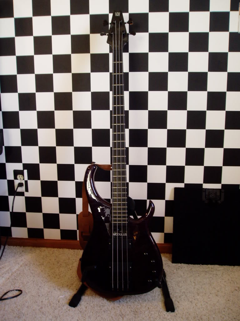 P1010305.jpg