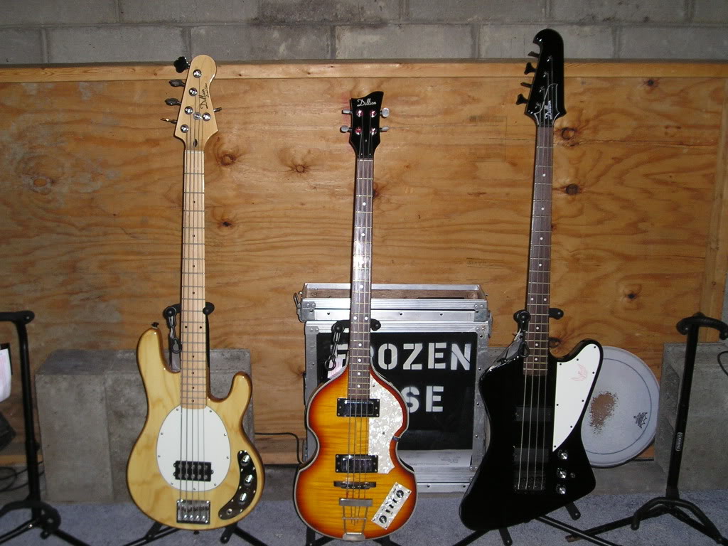 P1010334.jpg