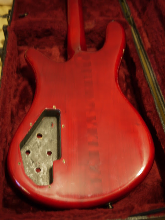 P1010346.jpg