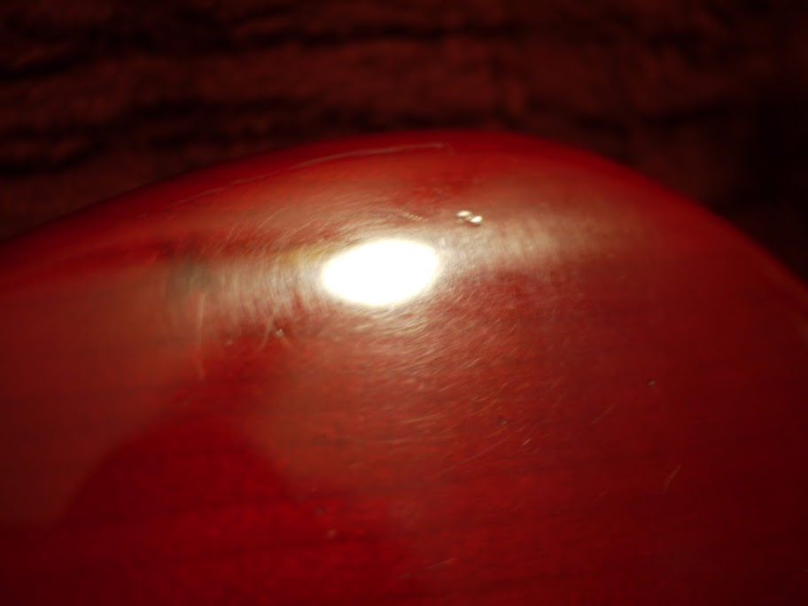 P1010360.jpg