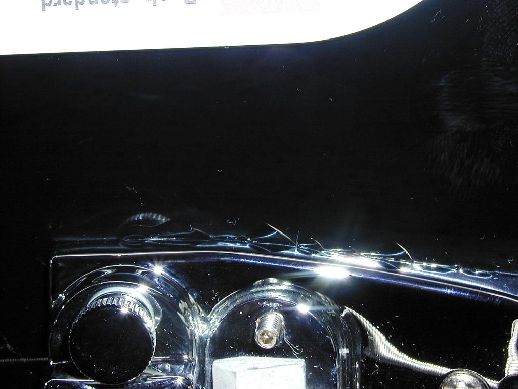 P1010499.jpg