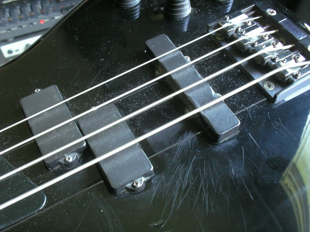 P1010755.jpg