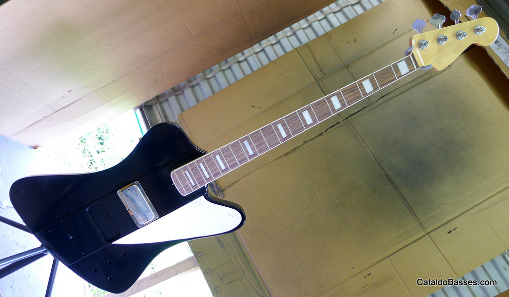 P1010868.jpg