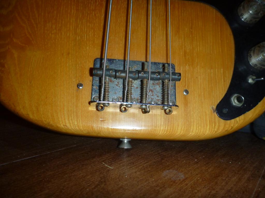 P1020158.jpg