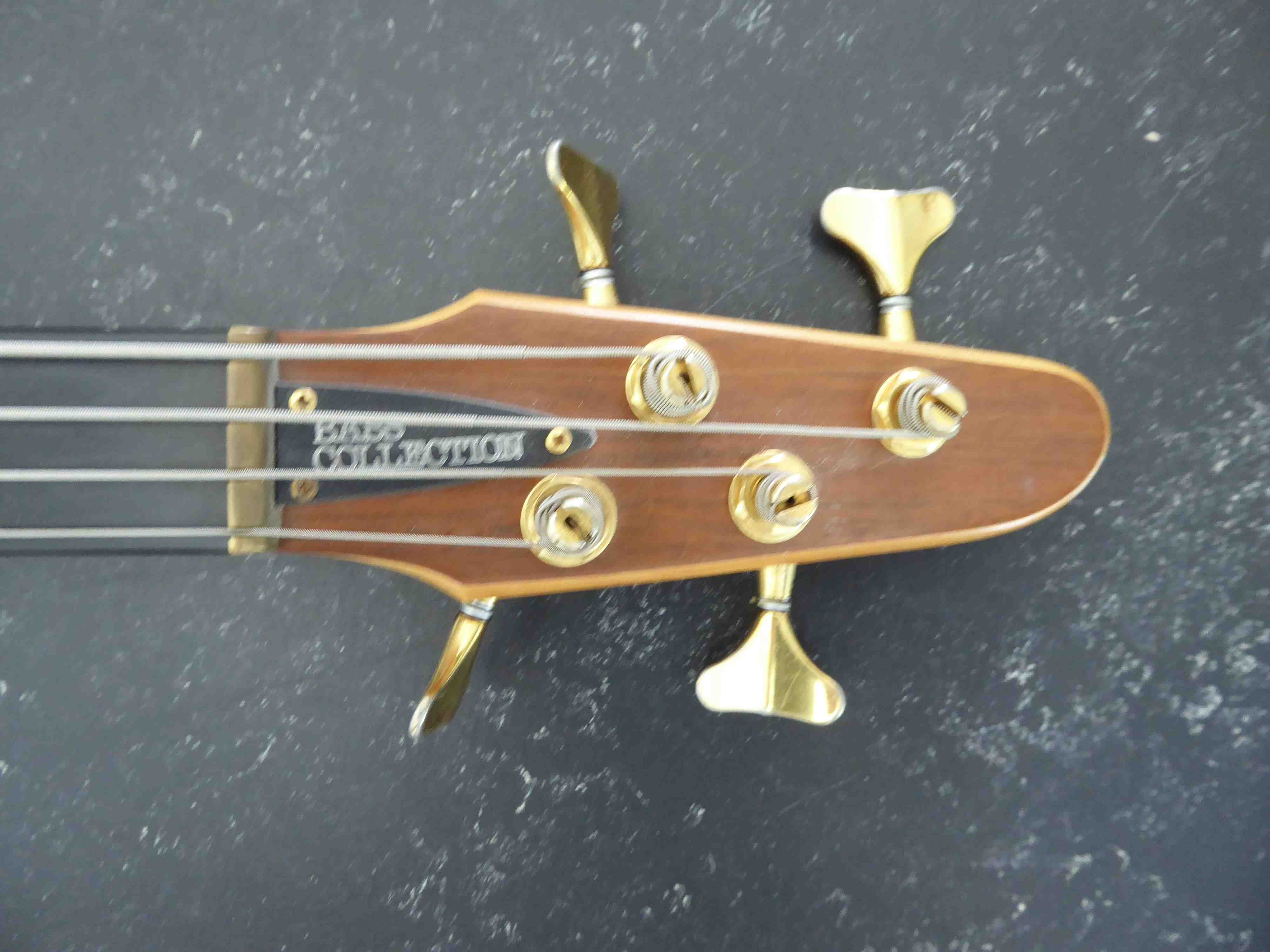 P1020211c.jpg