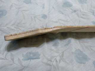 P1020420.jpg