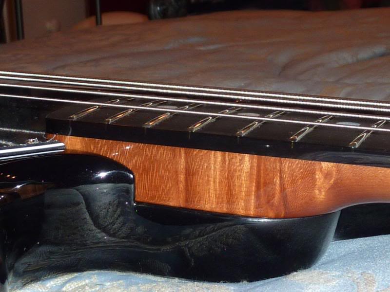 P1020558.jpg