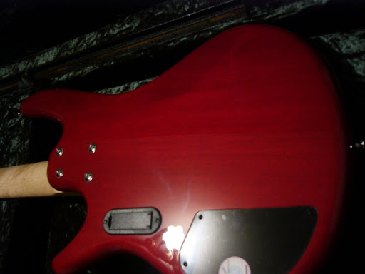 P1030177.jpg