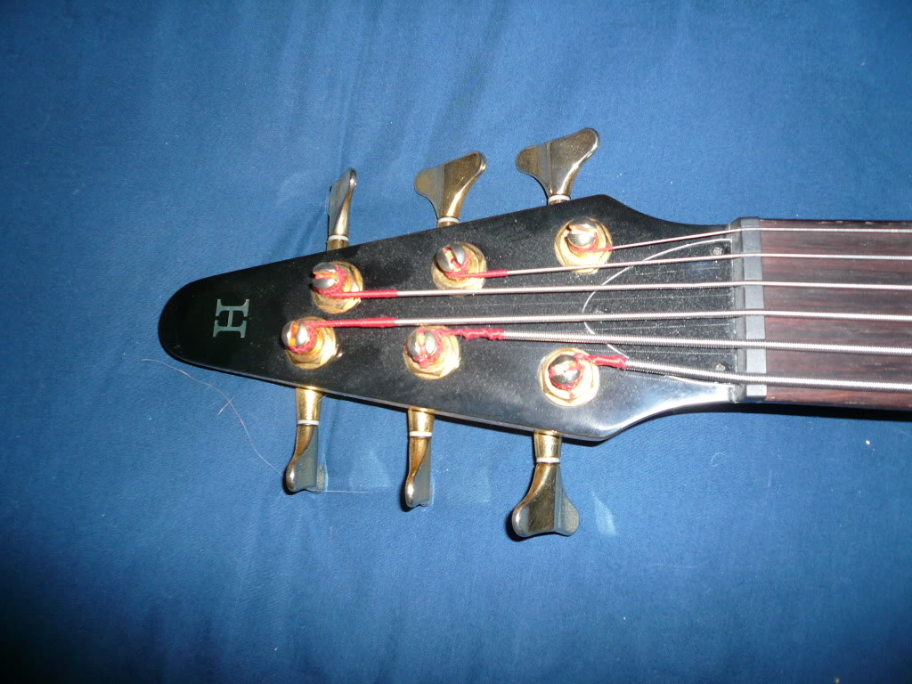 P1040020.jpg