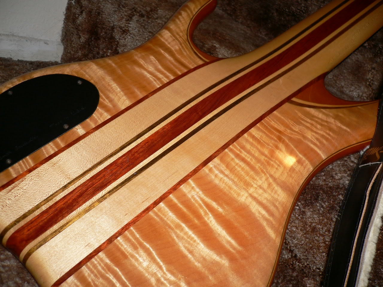 P1040761.jpg