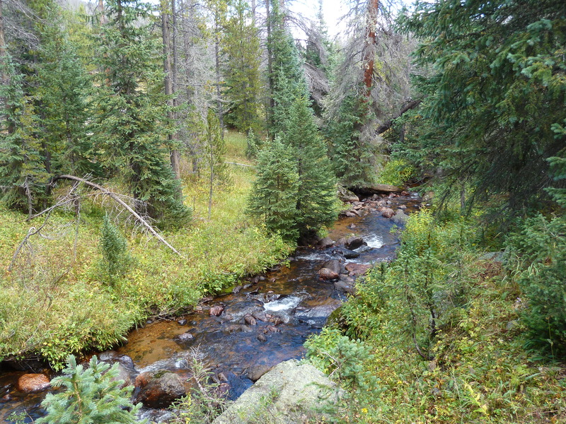 P1040836_zpsm3sgeoct.jpg