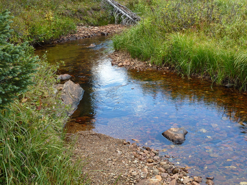 P1040862_zpswkacdfyt.jpg