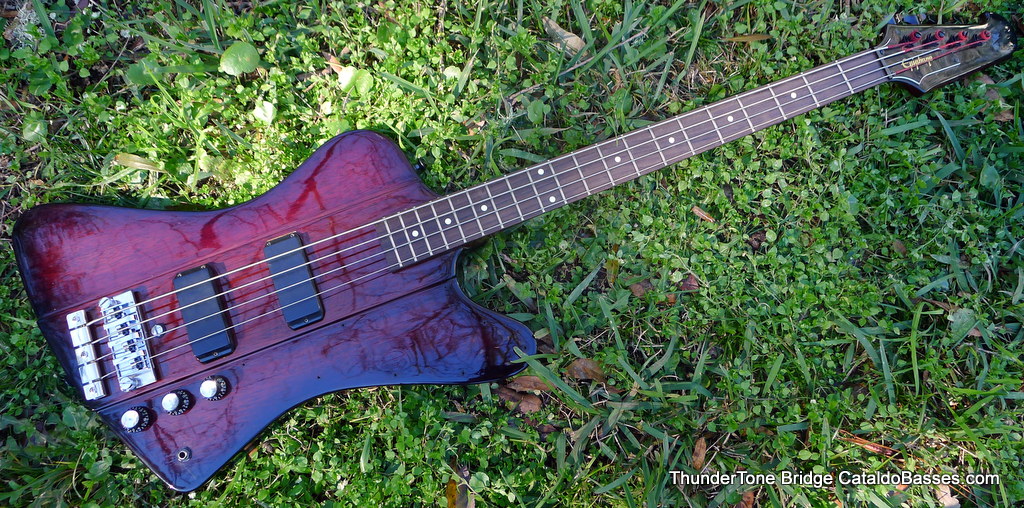 P1050453_zpse6fd16dd.jpg