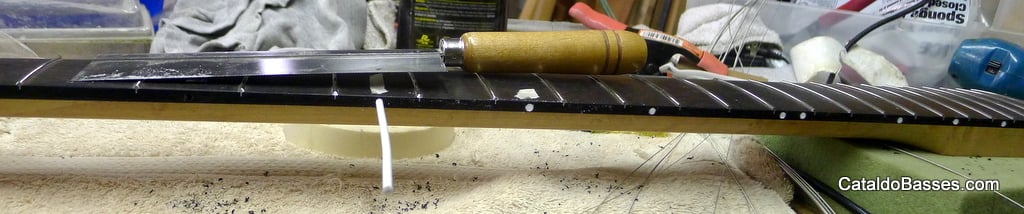 P1060203_zpsfdbe6da1.jpg