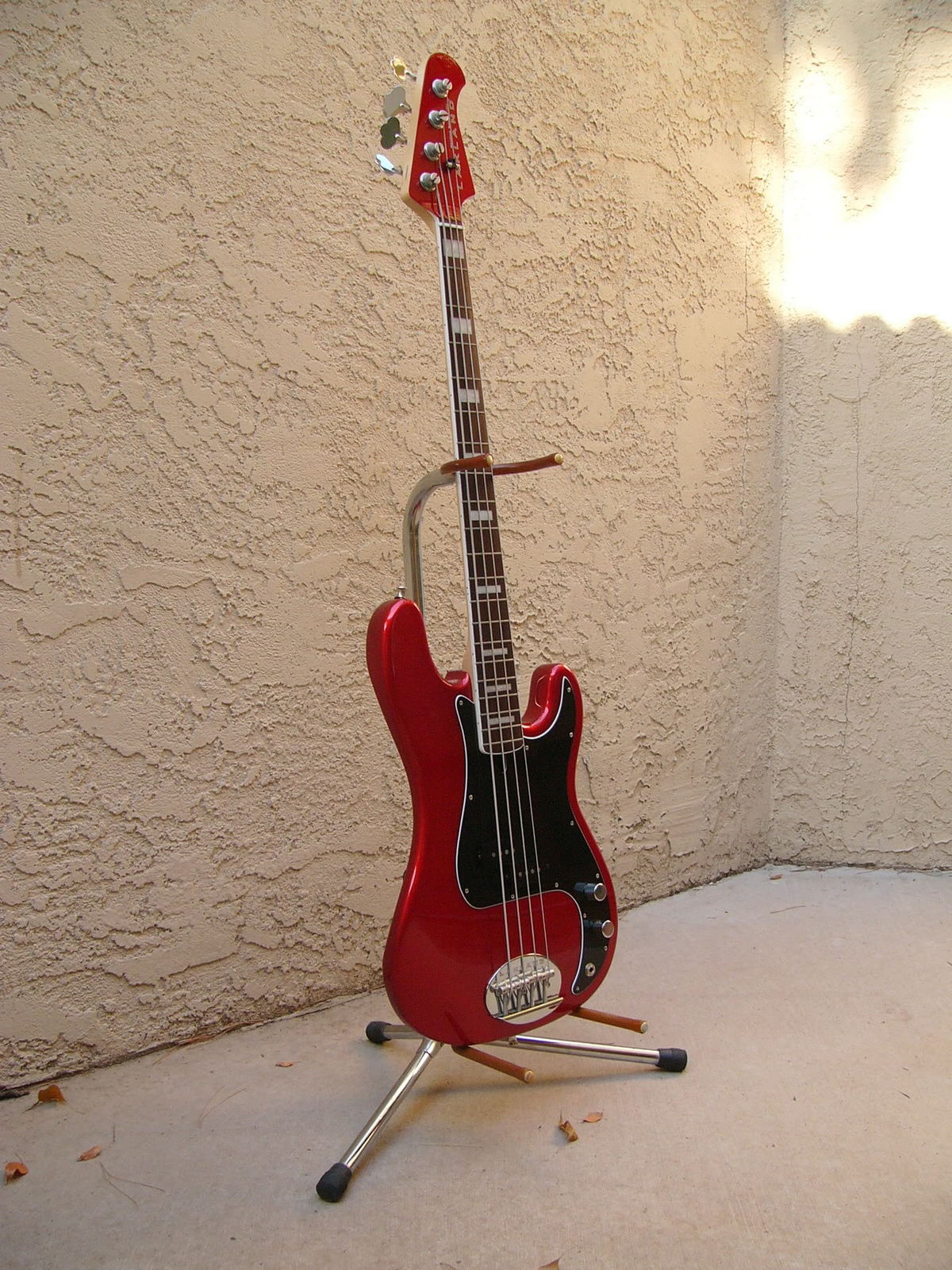 P1060375.jpg