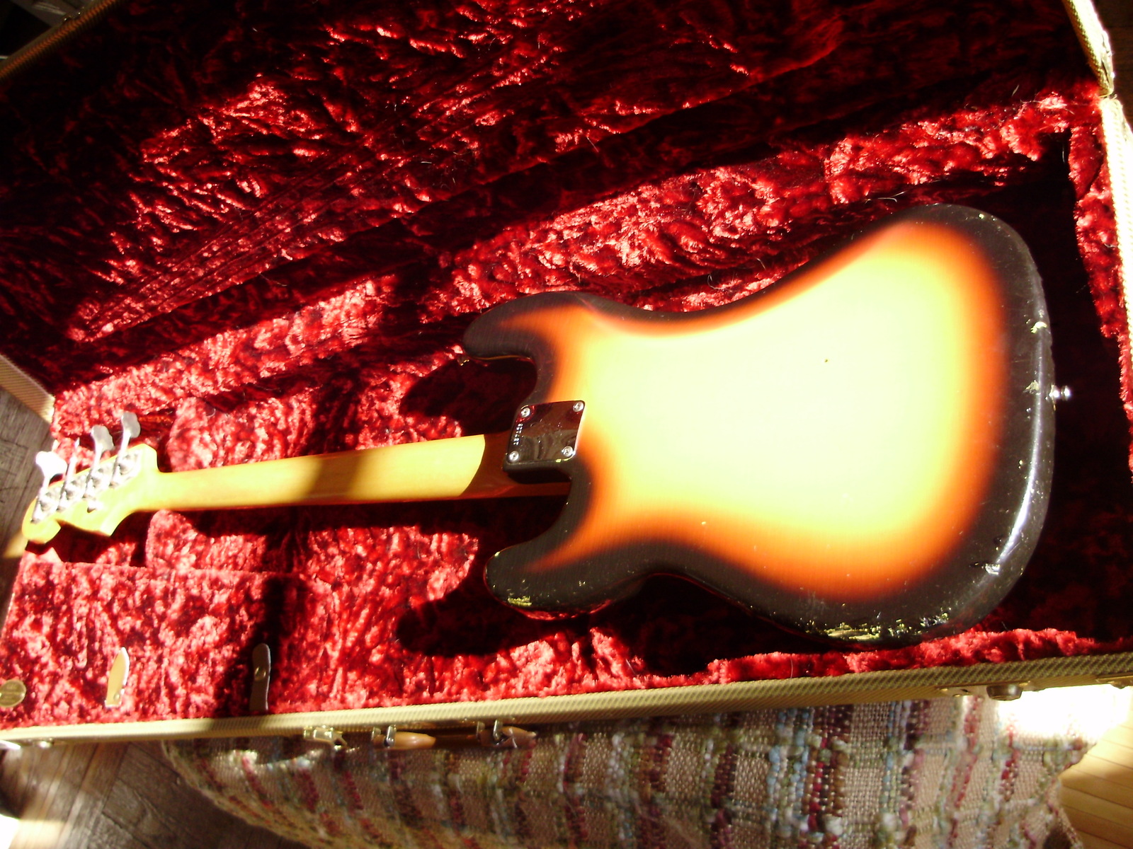 P1060531A.jpg