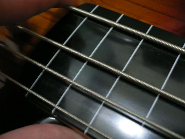 P1070141.jpg
