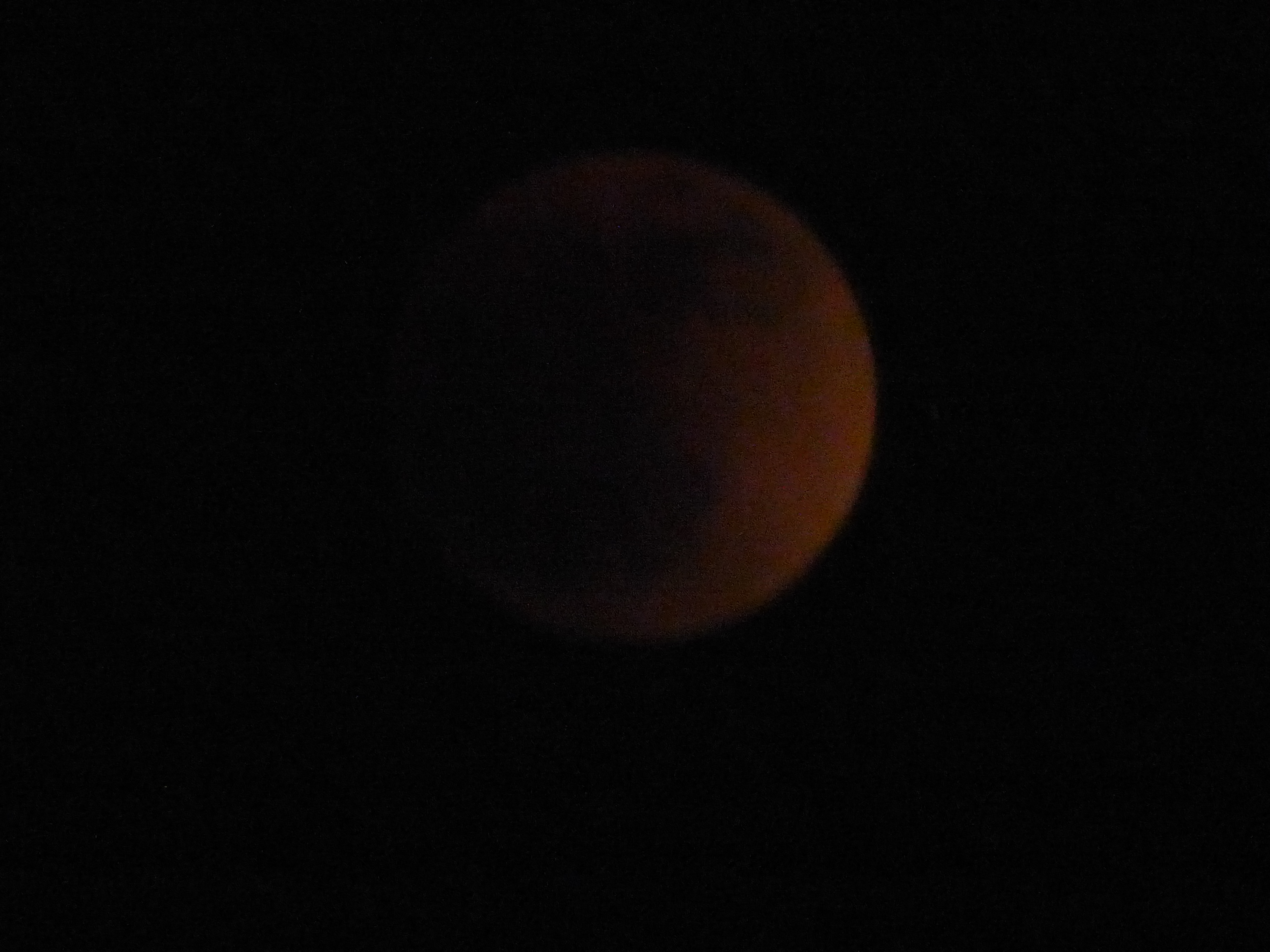 P1070144.JPG
