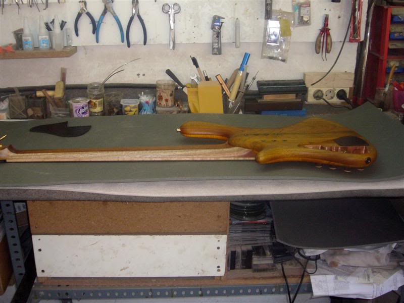 P1080424Medium.jpg